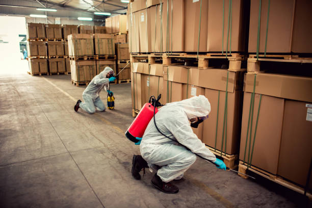 Best Exterminator Services  in Oronoco, MN