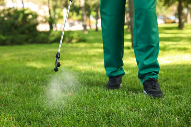 Best Residential Pest Control  in Oronoco, MN