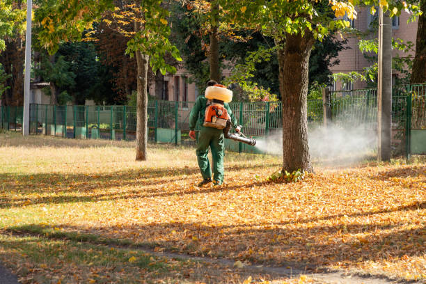 Best Emergency Pest Control  in Oronoco, MN
