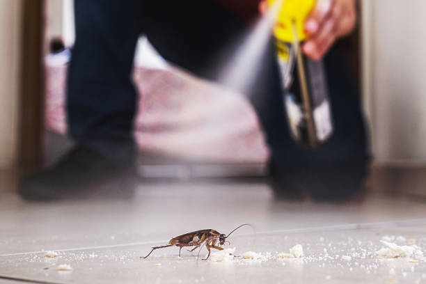 Pest Prevention Services in Oronoco, MN