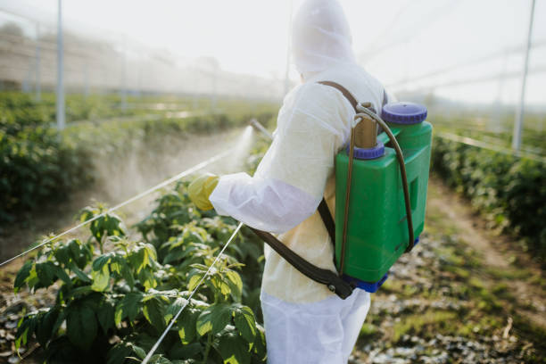 Best Mosquito Control Services  in Oronoco, MN